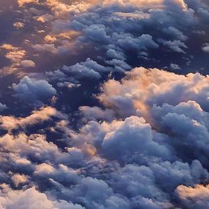 777米奇在线视频四色
