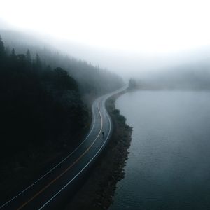 777米奇在线视频四色
